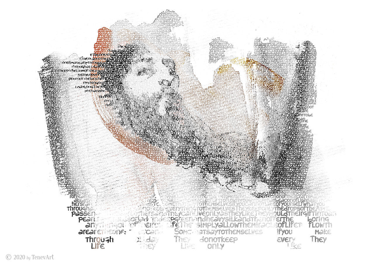 PORTRAIT OF THE WISE MAN<br>digital typography art (2009)