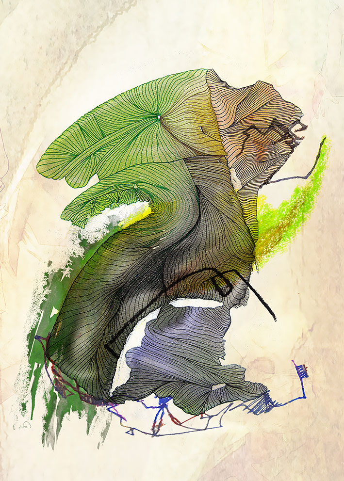 green Dancer<br><br>• a digital mix of my line art with additional digital intervention •